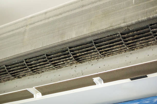 Best Air Filter Replacement Services in Hobe Sound, FL